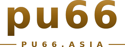 pu66 logo
